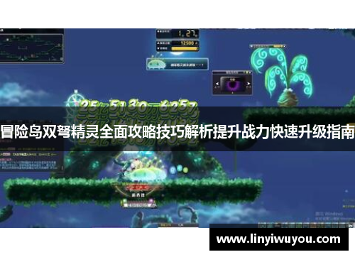 冒险岛双弩精灵全面攻略技巧解析提升战力快速升级指南 冒险岛双弩精灵全面攻略技巧解析提升战力快速升级指南